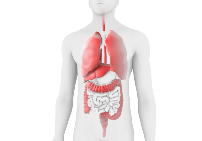 Cytomegalovirus Infection illustration